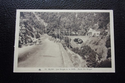 Algerie carte postale blida - -,