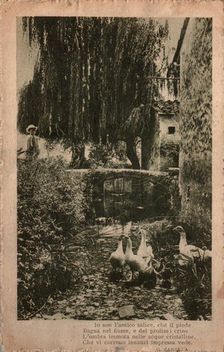 Cpa saule vers pont - saule, et