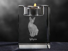 Sphynx chat bougeoir - chat,,