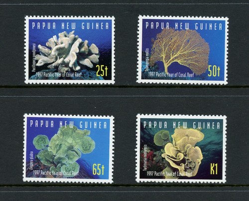 Y204