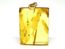 PENDENTIF AMBRE Insecte