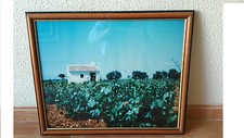 Tableau photo Paysage rural