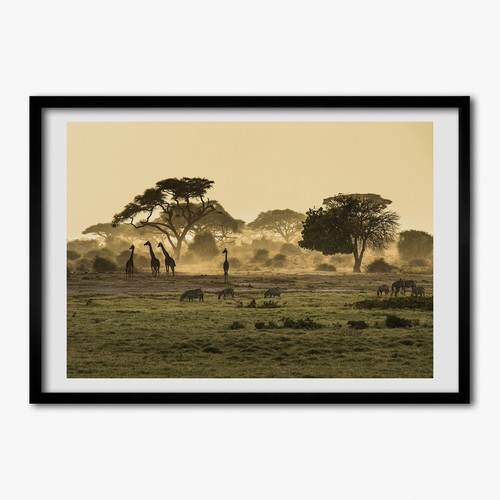 Tulup photo 100x70cm décor - tulup,