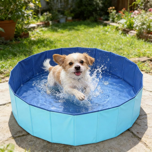 Piscine pour chien - piscine, baignoire