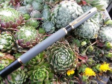 SUPERBE STYLO ROLLER WATERMAN