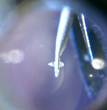 Bang & olufsen b&o SP12 pointe diamant nu neuve