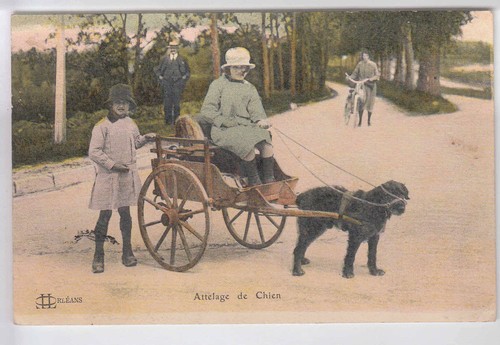 Cpa loiret rare attelage - cpa, 45