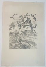 Gravure de Tavy NOTTON