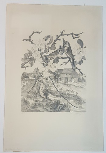 Gravure tavy notton - de,