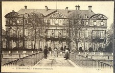 🦬 Carte Postale - Postcard