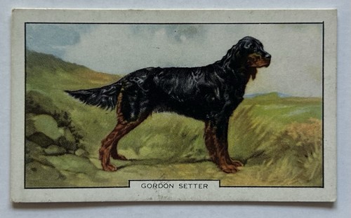 Gallaher dogs 2nd series 11 - dogs,