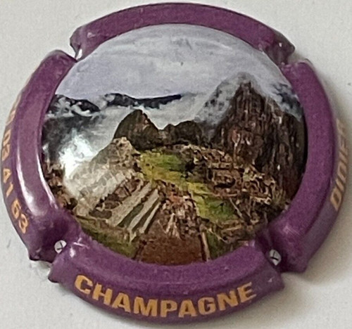Capsule champagne herbert - champagne,