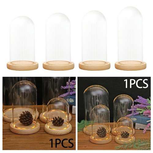Cloche verre dôme - cloche,