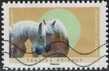 France 2023 Oblitéré Used Tendres Animaux Chevaux Haflinger Y&T FR 2249