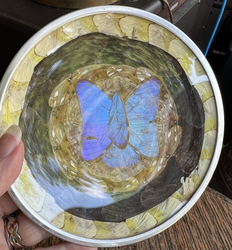 Vintage irisé bleu - irisé, morpho