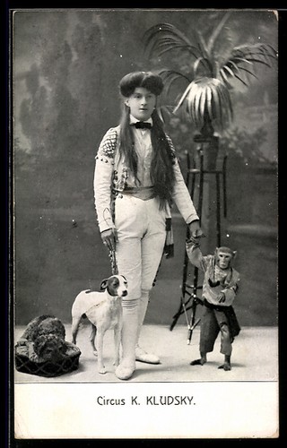 Carte postale cirque