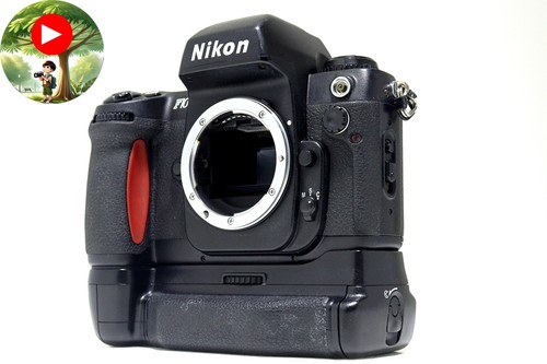 Collant mint nikon f100 - no, +