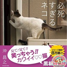 Livre photo Tatsumi Mook