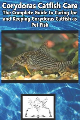 Tabitha jones corydoras - jones,
