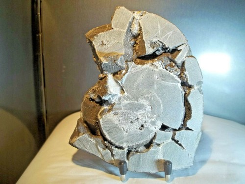 Minéraux septaria tranche - ,