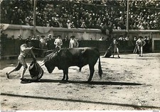 Carte postale corrida - carte,