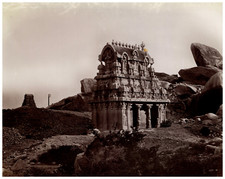 Nicholas & Co, India, Seven