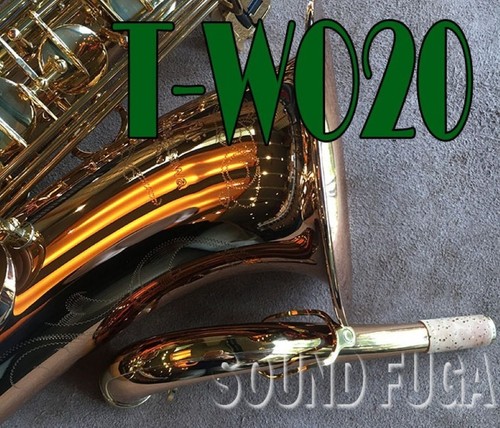 Saxophone alto yanagisawa - saxophone,