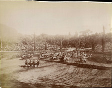 Italia, Torneo Nozze Vittorio Emanuele III e Elena di Montenegro Vintage albumen