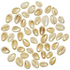 Coquillages cauris découpés