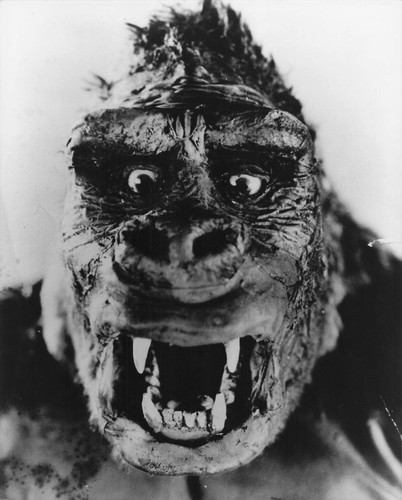 King kong photo argentique - king,