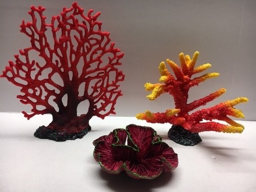 Corail aquarium reef - d'aquarium,