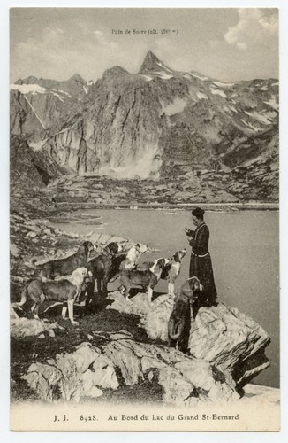 Moine chien lac grand - moine, du