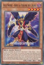 Yu-Gi-Oh! Aile Noire - Kris la Fissure de l'Aube : C BLC1-FR143