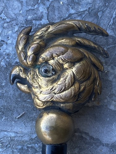 Pommeau tête perroquet - tête,