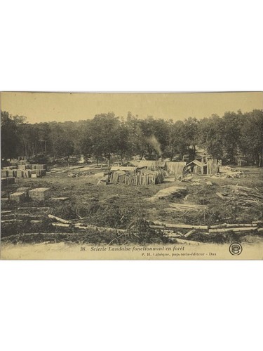 Scierie landaise fonctionnant