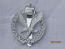 Army Air Corps,Aac ,Aviateur