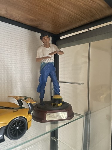 Figurine pilote ayrton - figurine, senna