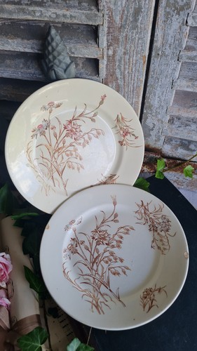 Anciennes assiettes plates - 2,
