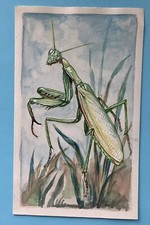 Magnifique Peinture Originale