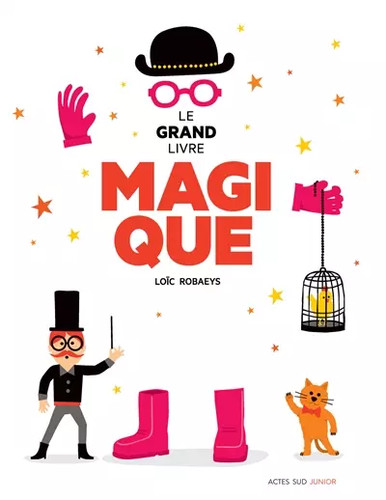 Grand livre magique loic - grand,