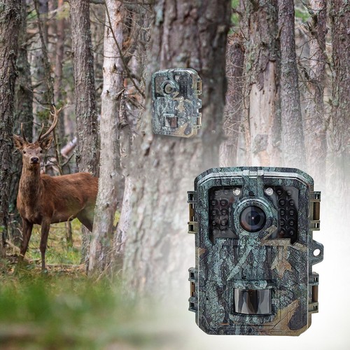 Caméra chasse 1080p - caméra, hd