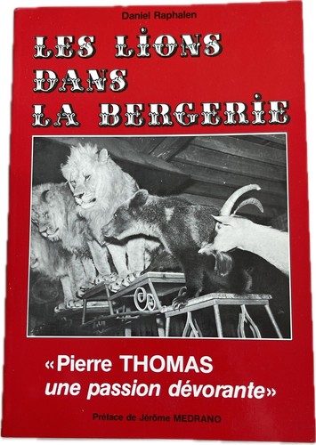 Les lions dans bergerie - lions,