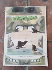 Carton Découpage Découpis Publicitaire "LA BELLE JARDINIERE" Au Zoo LES OTARIES