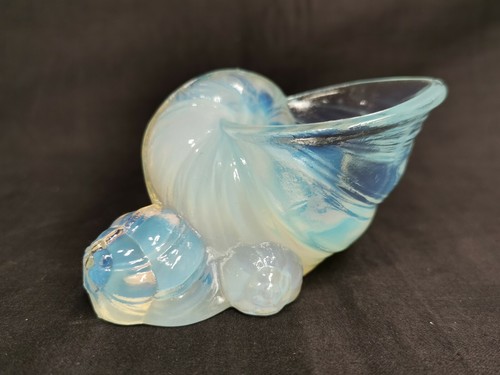 Beau coquillage verre - beau, en