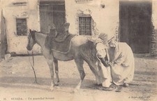 Maroc - OUJDA - Un