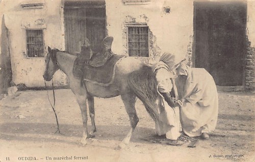 Maroc oujda un - -,