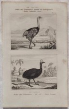 Buffon Original Casuario