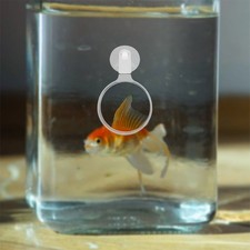  2 Pcs Mangeoire À Poissons