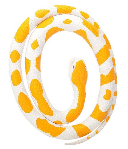 Rubber snake albino python - snake,