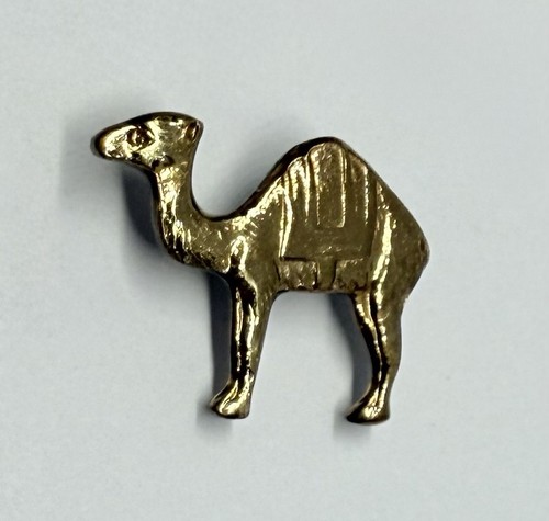 Vintage camel humped desert - camel,